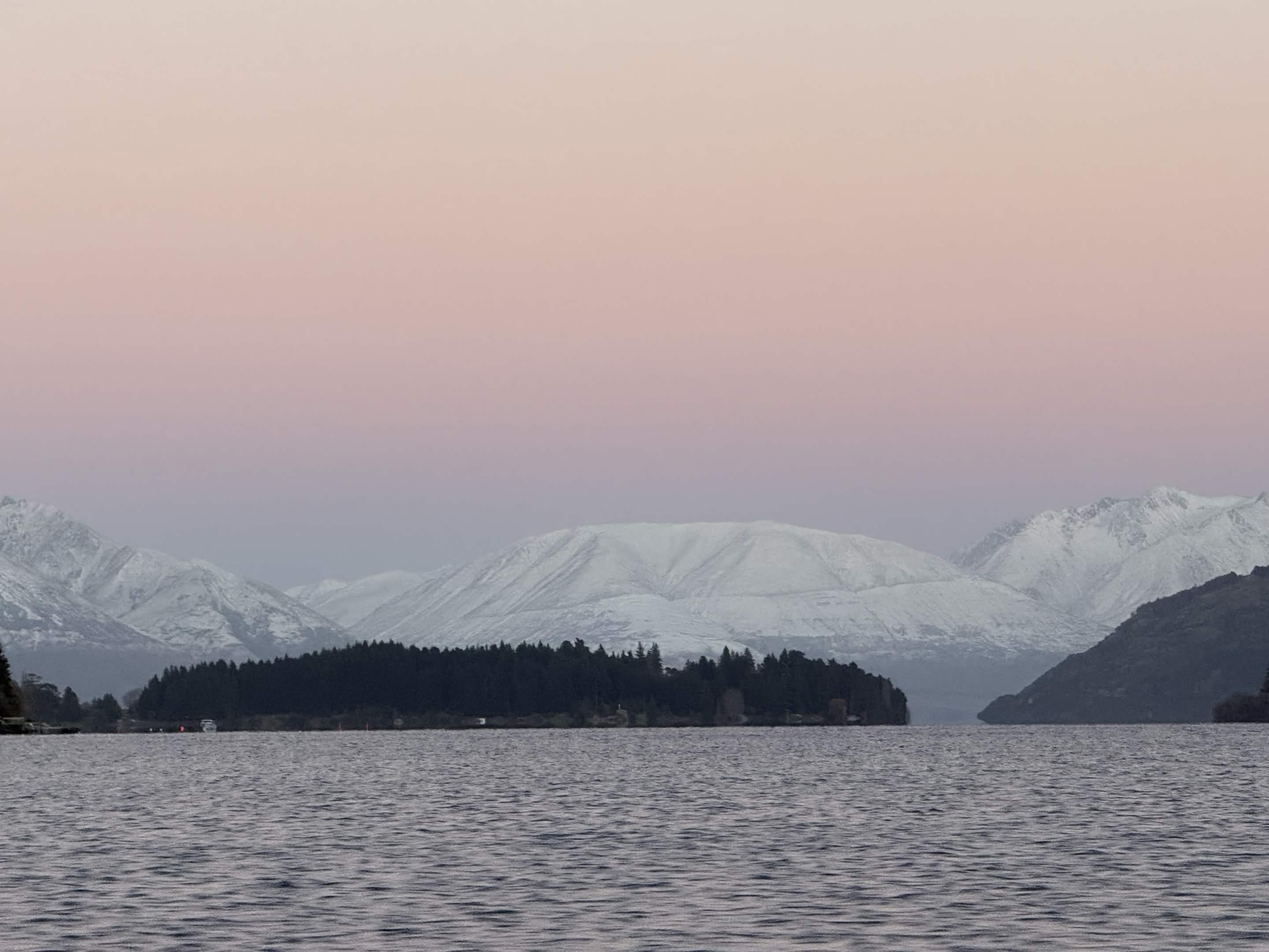 Soft pink dawn over Lake Wakatipu, snow-capped ranges behind a dark forested peninsula